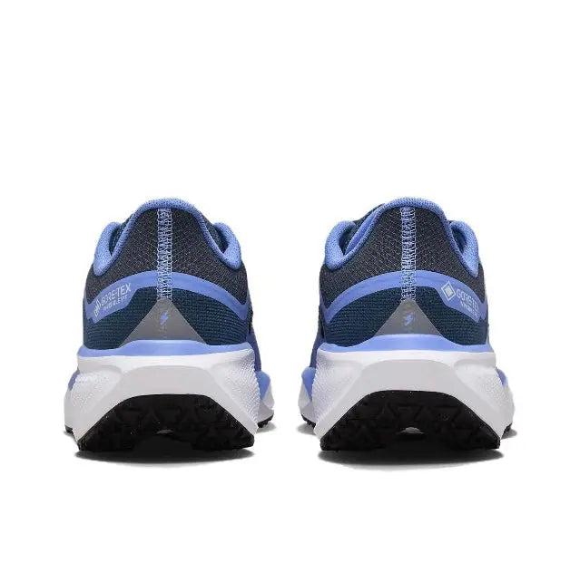 Air Zoom Pegasus 41 GTX Nike