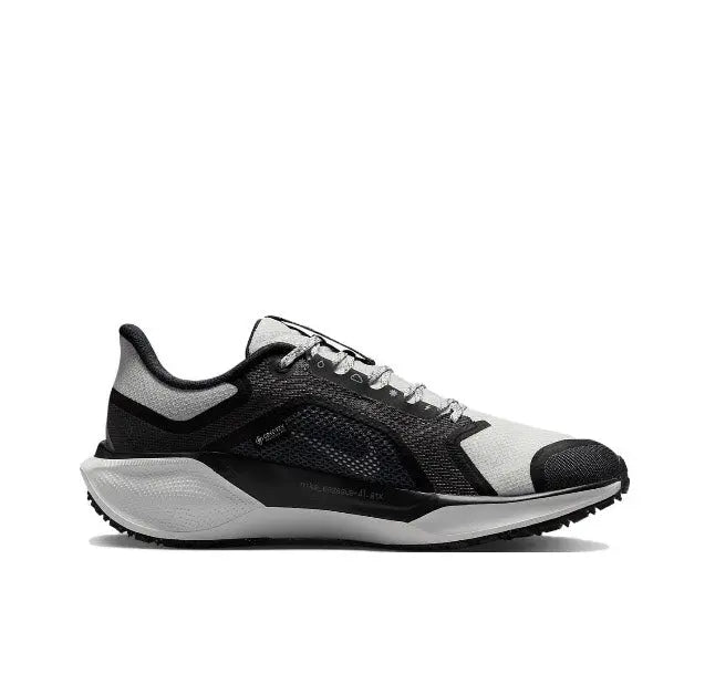 Air Zoom Pegasus 41 GTX (DNDZ) Nike