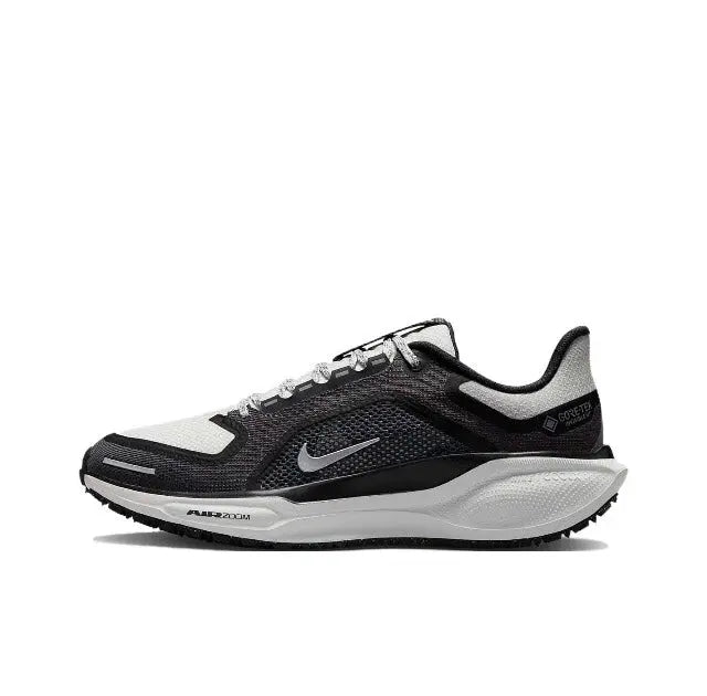Air Zoom Pegasus 41 GTX | Trainers | Nike