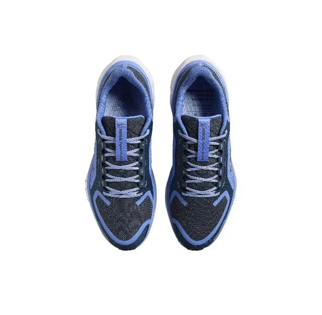 Air Zoom Pegasus 41 GTX Nike