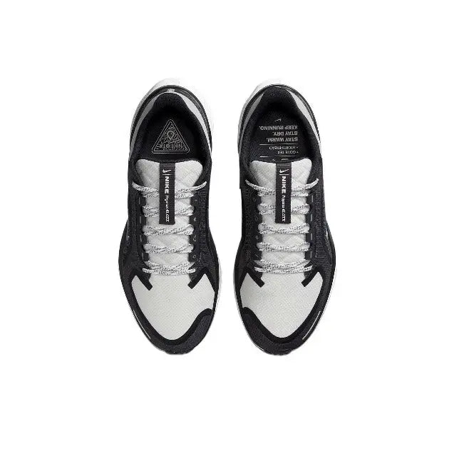 Air Zoom Pegasus 41 GTX (DNDZ) Nike