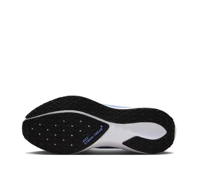 Air Zoom Pegasus 41 GTX Nike