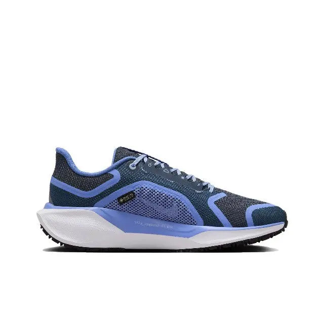 Air Zoom Pegasus 41 GTX Nike