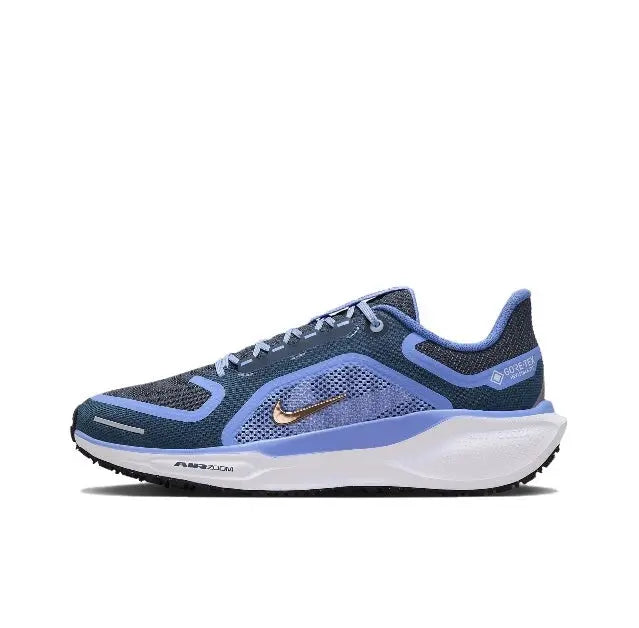 Air Zoom Pegasus 41 GTX | Trainers | Nike