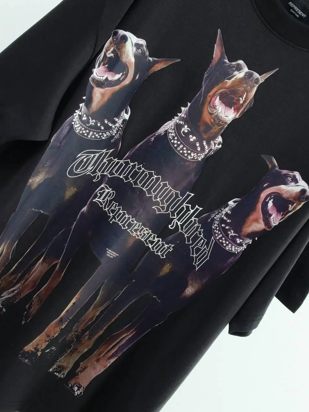Thoroughbred Represent