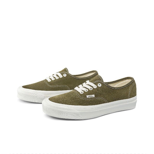 Authentic Skate Vans