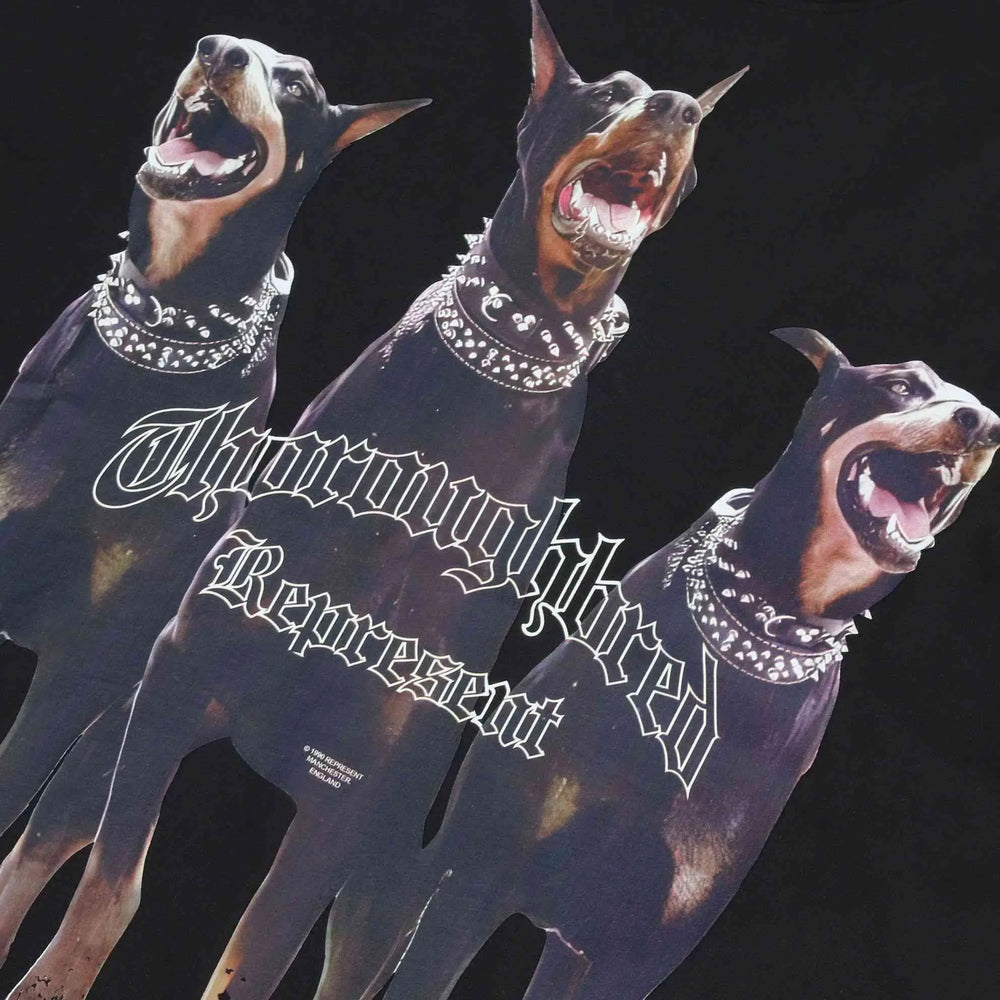 Thoroughbred Represent