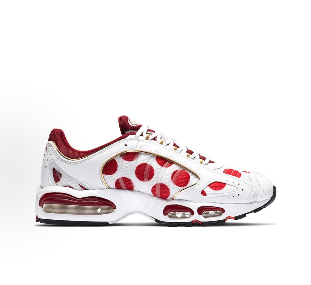Nike Air Max Tailwind 4