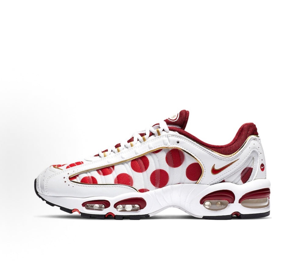 Nike Air Max Tailwind 4